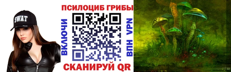 где продают Будённовск мега Псилоцибиновые грибы Cubensis